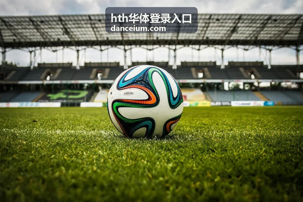 hth华体登录入口统一访问界面示意