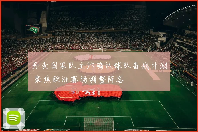 丹麦国家队主帅确认球队备战计划 聚焦欧洲赛场调整阵容