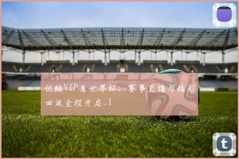 优酷VIP看世界杯:赛事直播与精彩回放全程开启_1