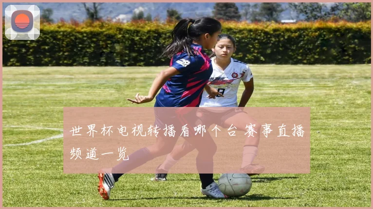 世界杯电视转播看哪个台 赛事直播频道一览